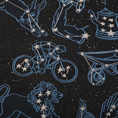 PASS~PORT CONSTELLATIONS THROW BLANKET