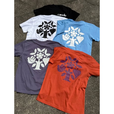 CANOLA LOGO TEE 2026