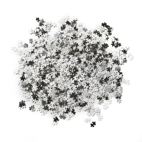 POLAR SKATE CO. PUZZLE N.01