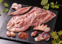 土佐ジロー正肉・肝セット (肝類付き)  もも肉・むね肉・ささみ・首皮・砂肝・レバー・ハツ・白子・トサカ [冷凍/冷蔵]
