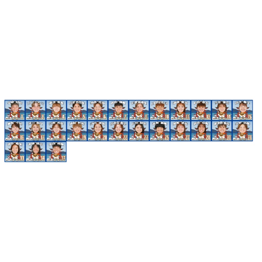 6ac6f919f4fe846ef358301d