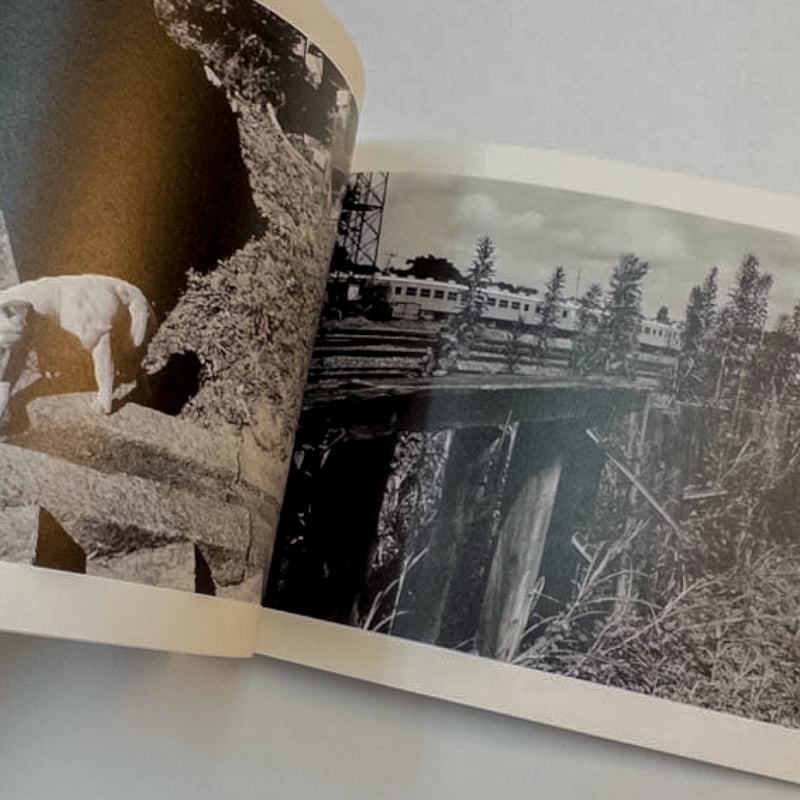 NOGATA [3rd edition]｜尾仲浩二 Koji Onaka | ソラリス・オンラ