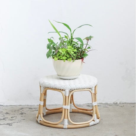 RATTAN + WHITE ROUND STOOL / 暮らしに寄り添うナチュラルラタンスツール