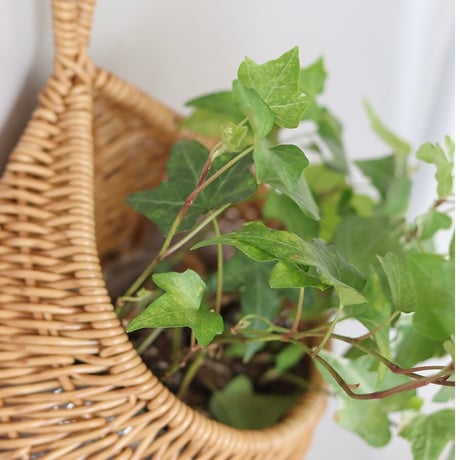 NATURAL DROP BASKET / NAIL NATURAL , BROWN / 雫型のフォルムが可愛い壁面収納にぴったりなバスケット