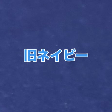 新‼️ネイビー紙　B5見開き御朱印帳　24山　neneバンド付き