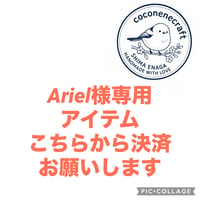 Ariel様専用アイテム