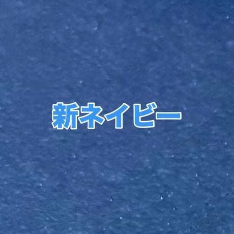 新‼️ネイビー紙　B5見開き御朱印帳　24山　neneバンド付き