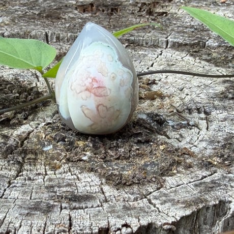 花が実を結ぶ季節を映す　－　グリーン桜メノウ