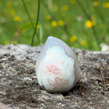 花が実を結ぶ季節を映す　－　グリーン桜メノウ