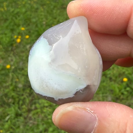 花が実を結ぶ季節を映す　－　グリーン桜メノウ