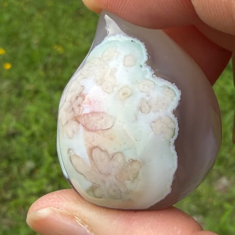 花が実を結ぶ季節を映す　－　グリーン桜メノウ