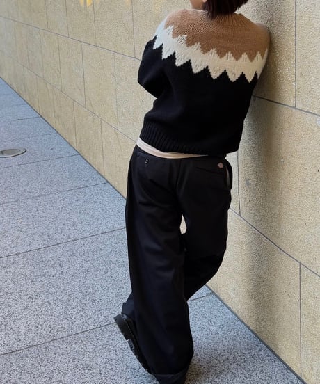 ok.soon×dickies wide chino pants (black)