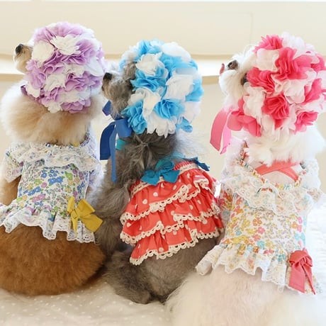 【予約】HAPPYJJANGGU♪CANDY FLOWER