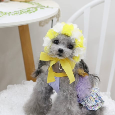 【予約】HAPPYJJANGGU♪ CANDY ROSS BIKINI