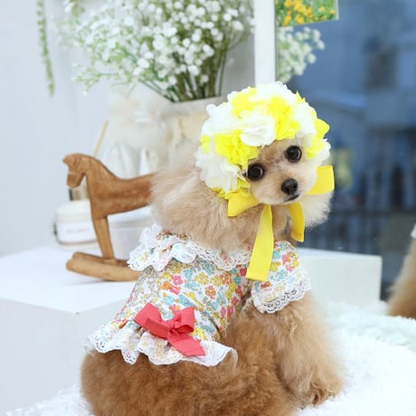 【予約】HAPPYJJANGGU♪CANDY FLOWER