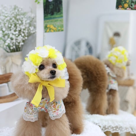 【予約】HAPPYJJANGGU♪CANDY FLOWER