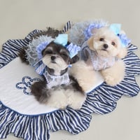 【予約】comocomo...soda blanket (RIVERSIBLE)