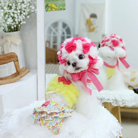 【予約】HAPPYJJANGGU♪ CANDY ROSS BIKINI