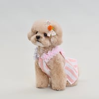 【予約】comocomo...PEACH LINEN