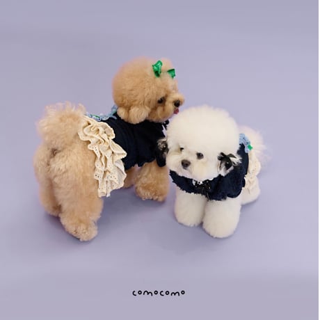 【予約】comocomo...madeleine tutu