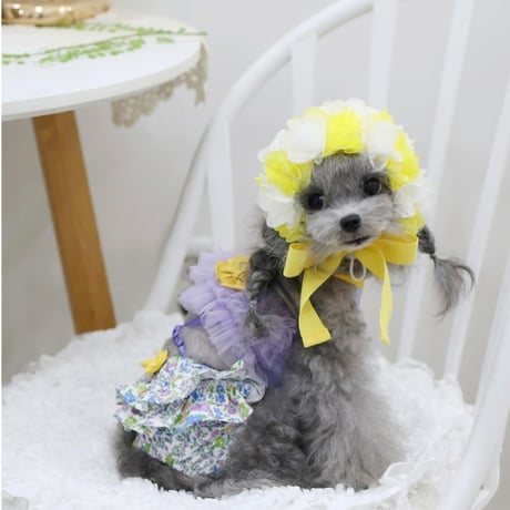 【予約】HAPPYJJANGGU♪ CANDY ROSS BIKINI