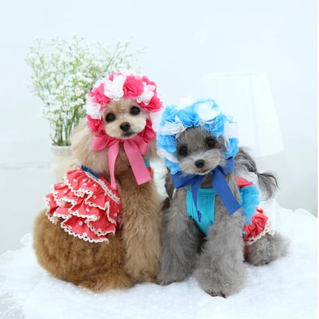 【予約】HAPPYJJANGGU♪ CANDY ROSS BIKINI