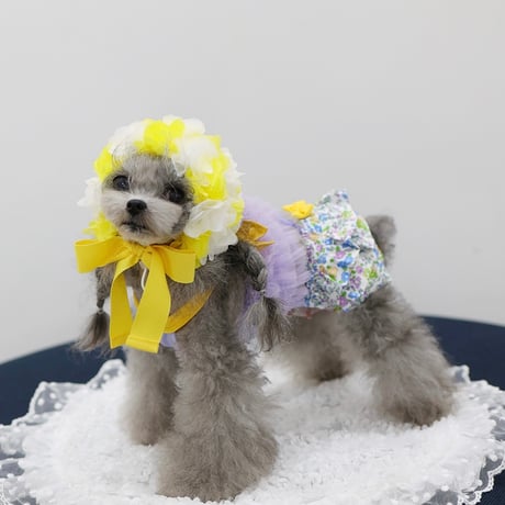 【予約】HAPPYJJANGGU♪ CANDY ROSS BIKINI
