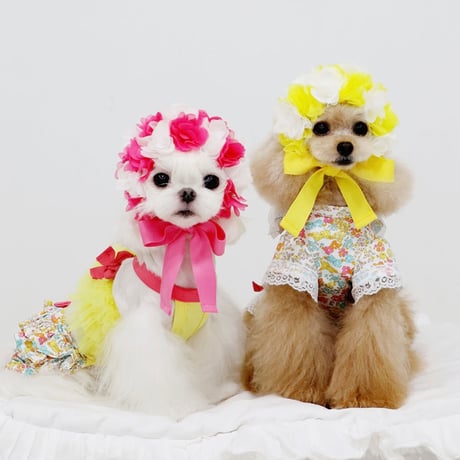 【予約】HAPPYJJANGGU♪ CANDY ROSS BIKINI