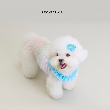 【予約】comocomo...lemonade