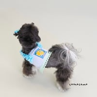 【予約】comocomo...lemonade