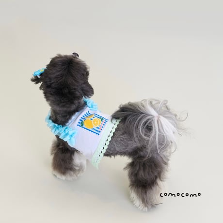 【予約】comocomo...lemonade