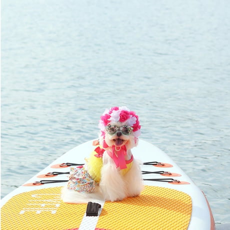 【予約】HAPPYJJANGGU♪ CANDY ROSS BIKINI