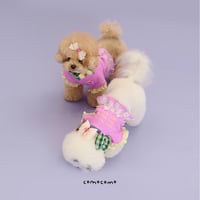 【予約】comocomo...fall in love