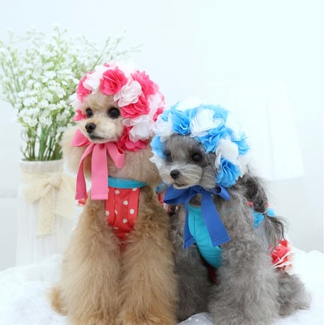 【予約】HAPPYJJANGGU♪ CANDY ROSS BIKINI