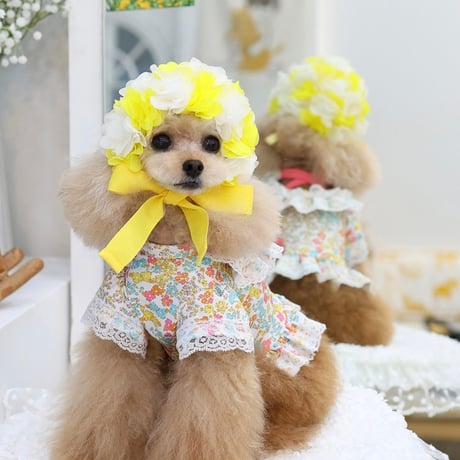 【予約】HAPPYJJANGGU♪CANDY FLOWER
