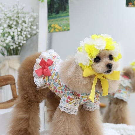 【予約】HAPPYJJANGGU♪CANDY FLOWER