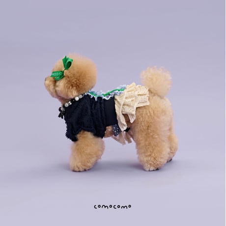 【予約】comocomo...popcorn navy