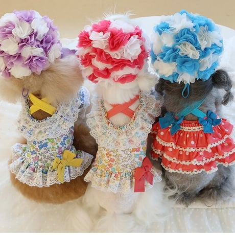 【予約】HAPPYJJANGGU♪CANDY FLOWER