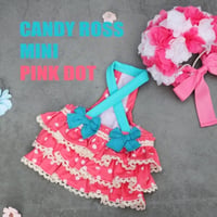 【予約】HAPPYJJANGGU♪CANDY ROSS MINI PINKEUT