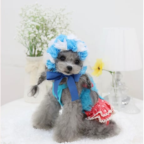 【予約】HAPPYJJANGGU♪ CANDY ROSS BIKINI
