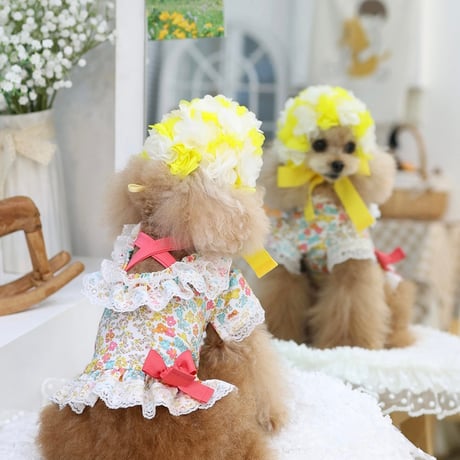 【予約】HAPPYJJANGGU♪CANDY FLOWER