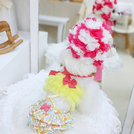 【予約】HAPPYJJANGGU♪ CANDY ROSS BIKINI