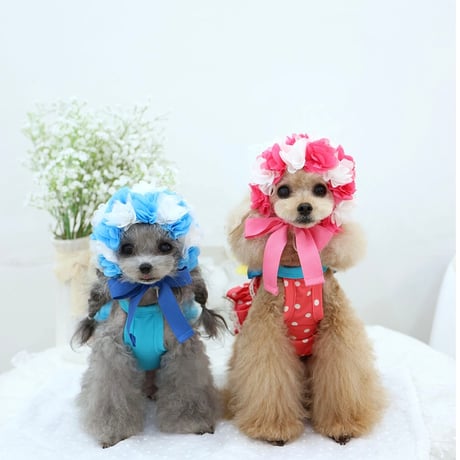 【予約】HAPPYJJANGGU♪ CANDY ROSS BIKINI