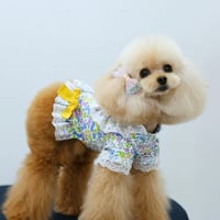【予約】HAPPYJJANGGU♪CANDY FLOWER