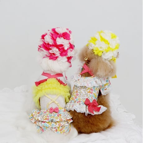 【予約】HAPPYJJANGGU♪ CANDY ROSS BIKINI