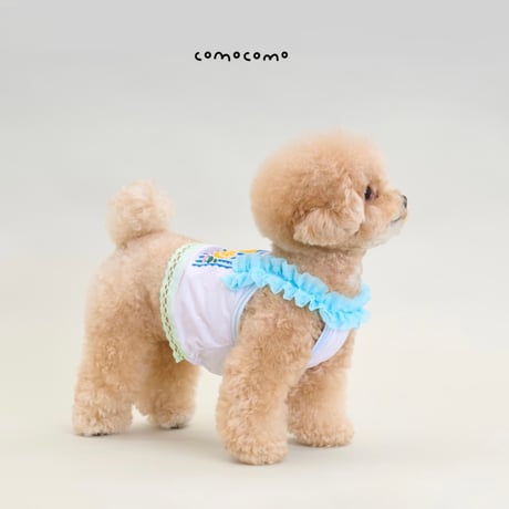 【予約】comocomo...lemonade