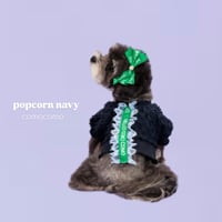 【予約】comocomo...popcorn navy