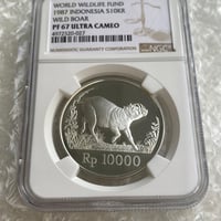 WWF世界野生生物基金記念シリーズ 1987年 インドネシア イノシシ NGC鑑定PF67 10000ルピー銀貨 シルバー プルーフコイン Indonesia Wild Boar