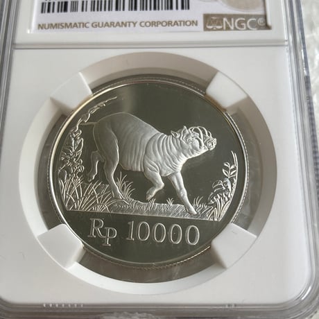 WWF世界野生生物基金記念シリーズ 1987年 インドネシア イノシシ NGC鑑定PF67 10000ルピー銀貨 シルバー プルーフコイン Indonesia Wild Boar