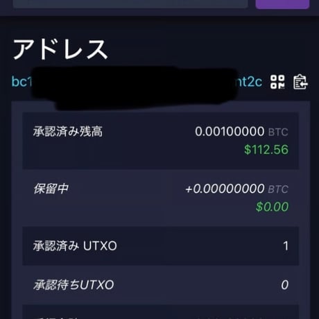 【※0.001BTCが内蔵】ビットコイン モチーフ ミントパーフェクトスラブ入り 2025年 ニウエ国 2ドル 1オンス銀貨 シルバー プルーフコイン 暗号資産 暗号通貨